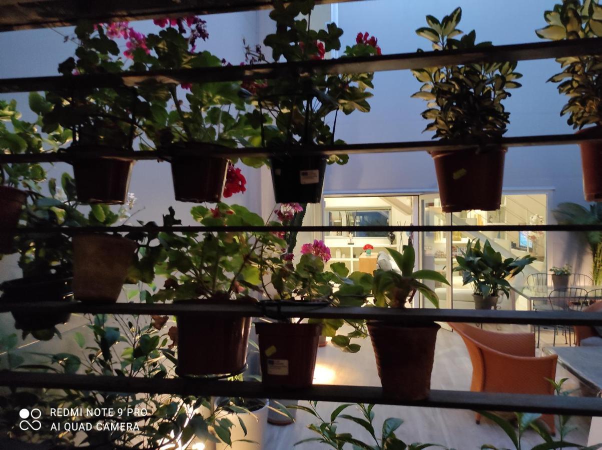 Habitacion Y Bano En Planta Independiente En Centro De Sevilla Eksteriør billede